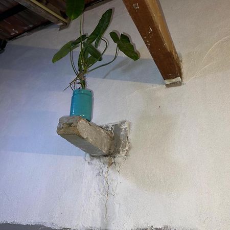 بيت شباب Cactus Arugambay آروغام المظهر الخارجي الصورة
