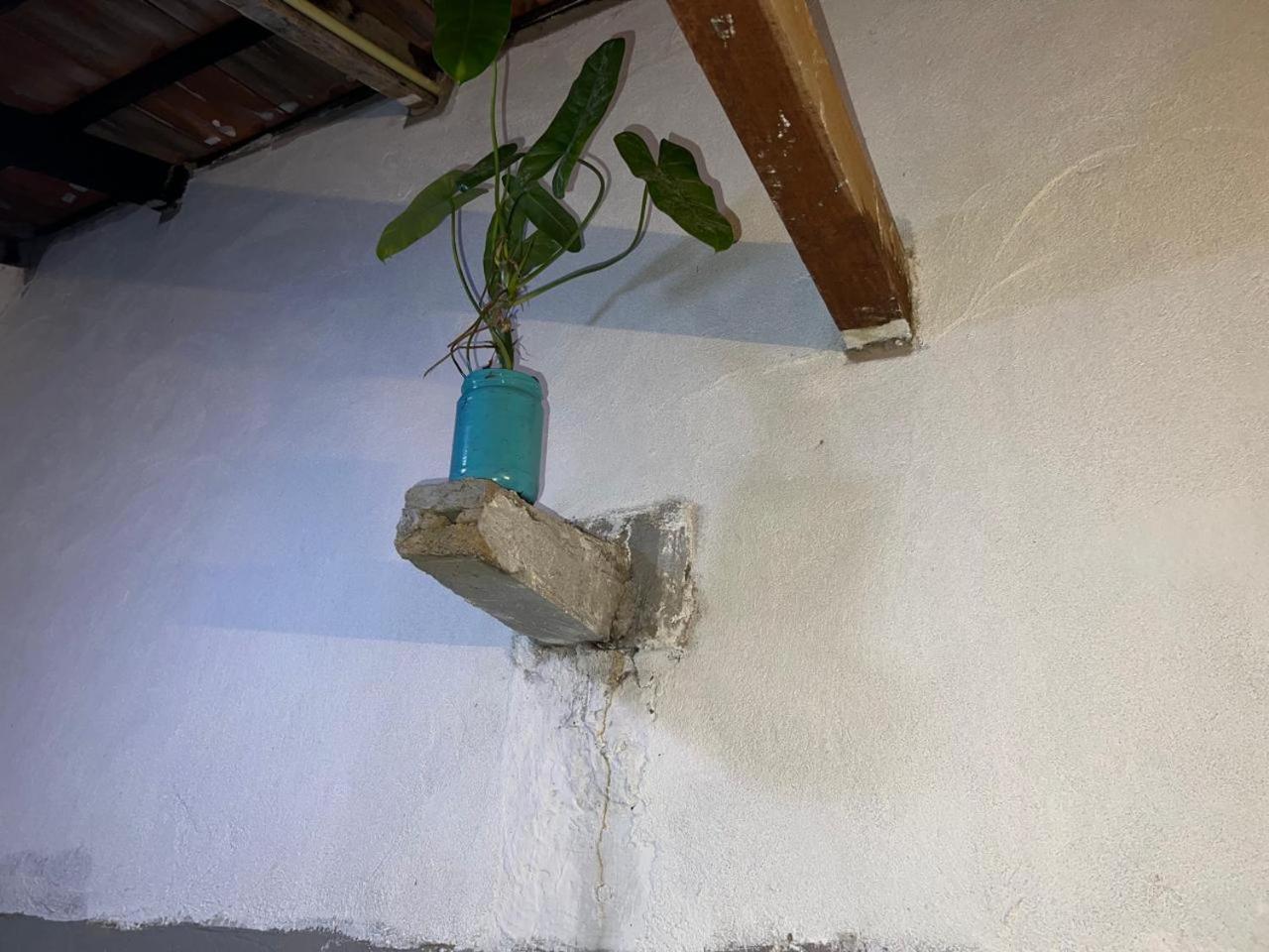 بيت شباب Cactus Arugambay آروغام المظهر الخارجي الصورة