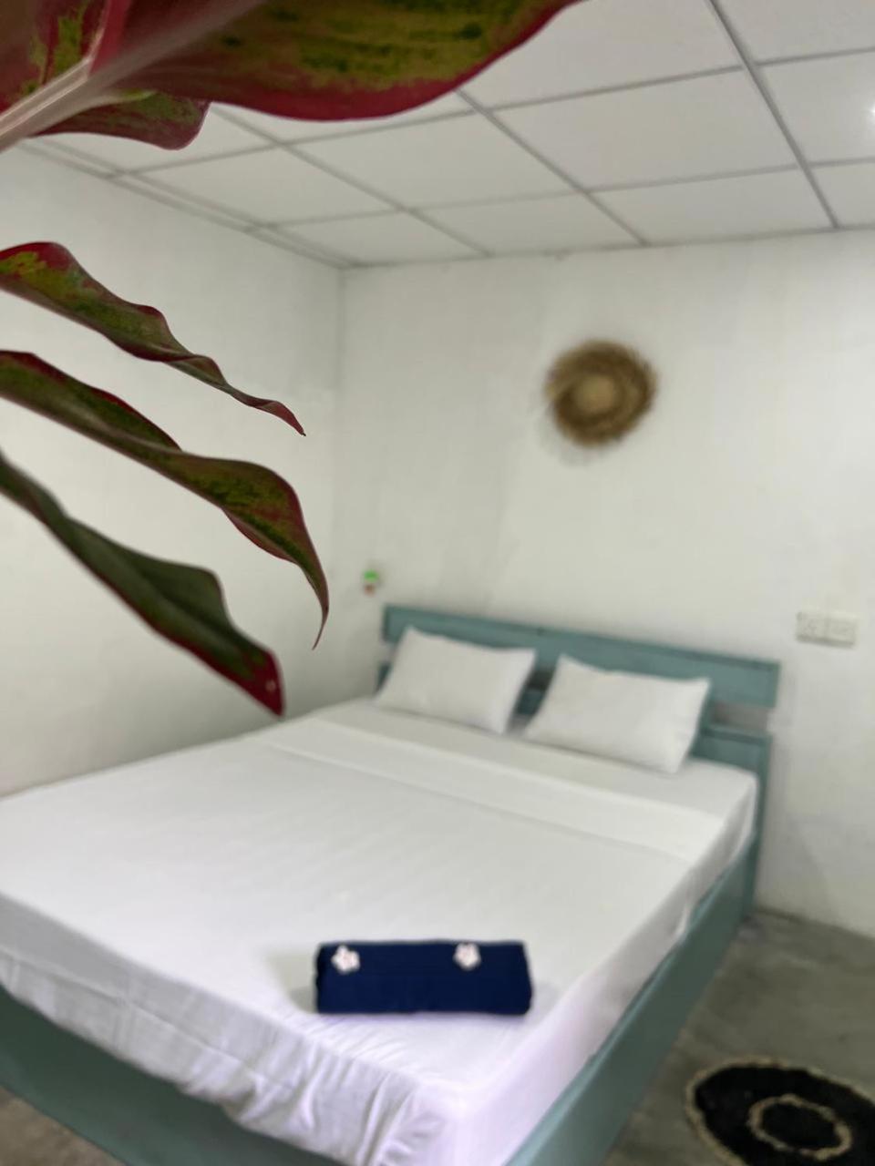 بيت شباب Cactus Arugambay آروغام المظهر الخارجي الصورة