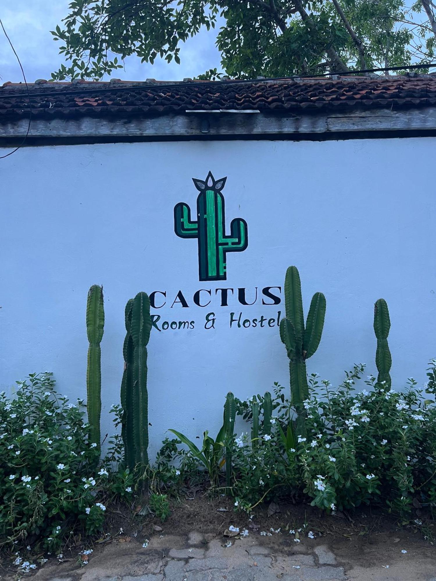 بيت شباب Cactus Arugambay آروغام المظهر الخارجي الصورة